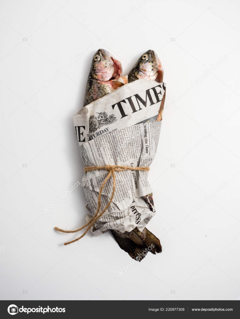 fish news