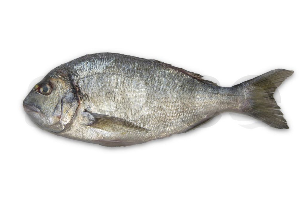 Dorade royale 300-400g