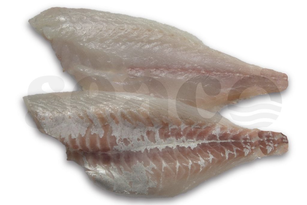 Dorade royalefilet (400-600) zonder vel 100-140g
