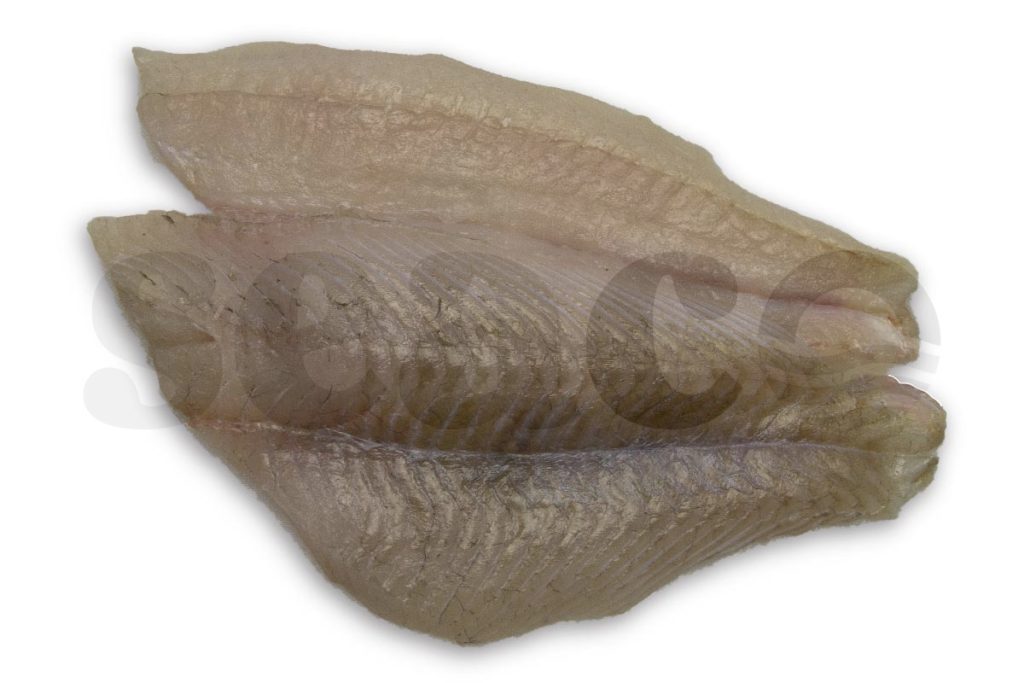 Grietfilet 1 zonder vel