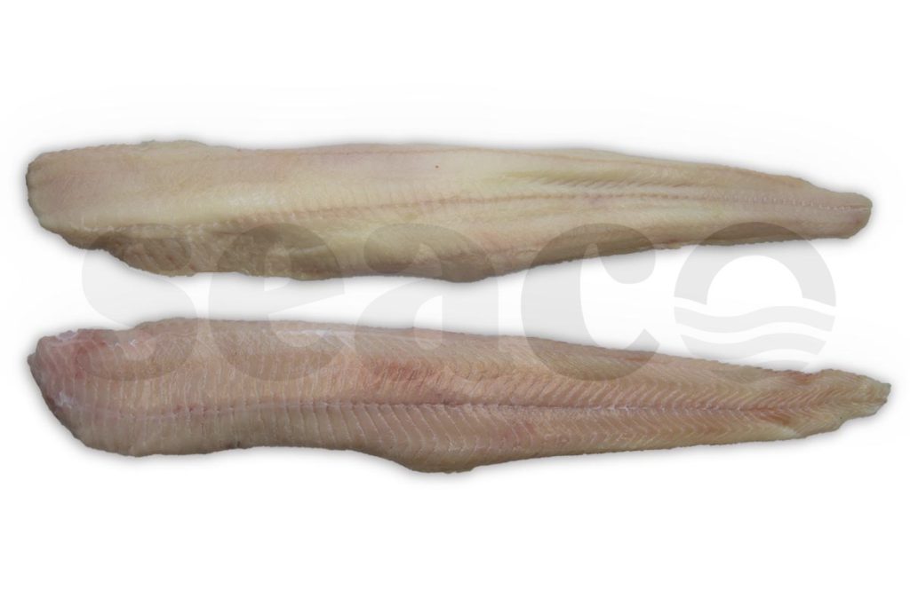 Zeewolffilet zonder vel >800g