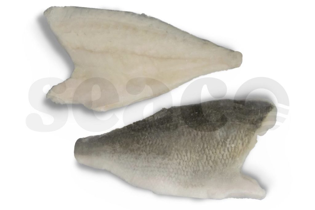 Dorade royalefilet met vel 120-160g 5kg DV