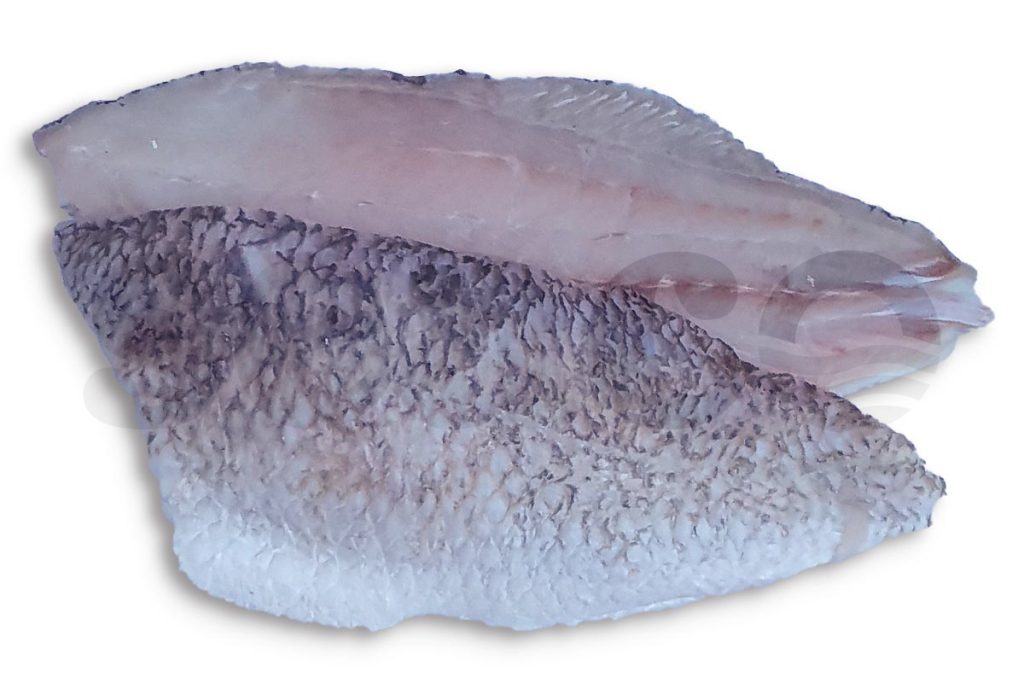 Barramundifilet met vel 170-230g 1kg DV