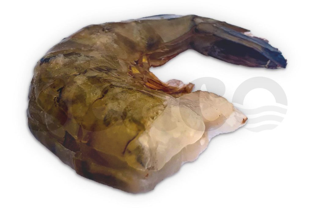 Gamba black tiger easy peel 16-20 1kg DV