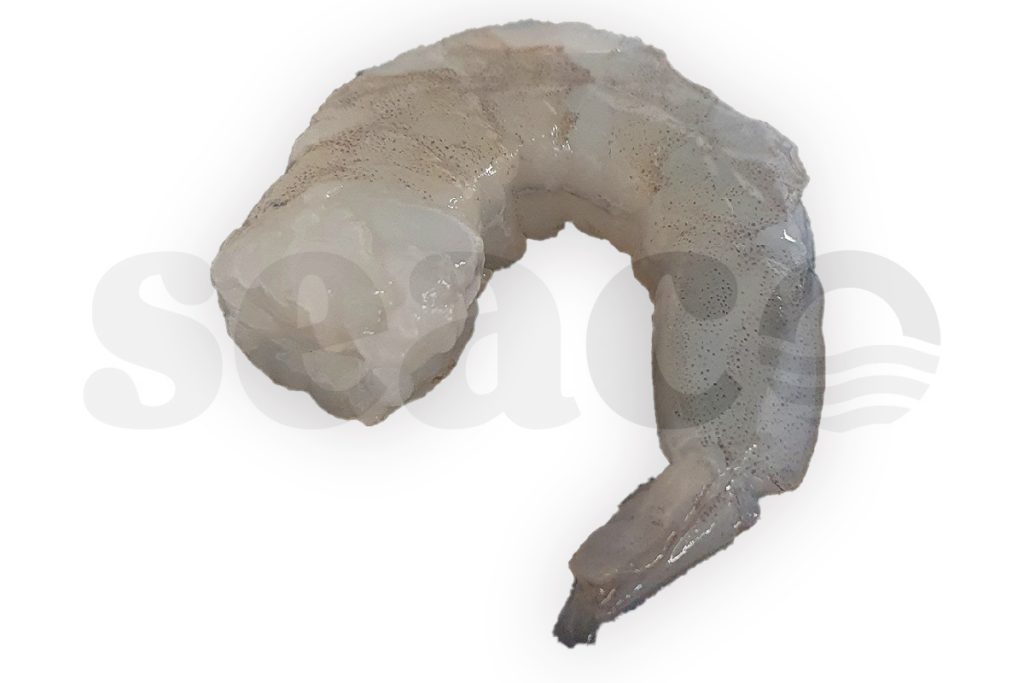 Gamba vannamei gepeld 31-40 1kg DV