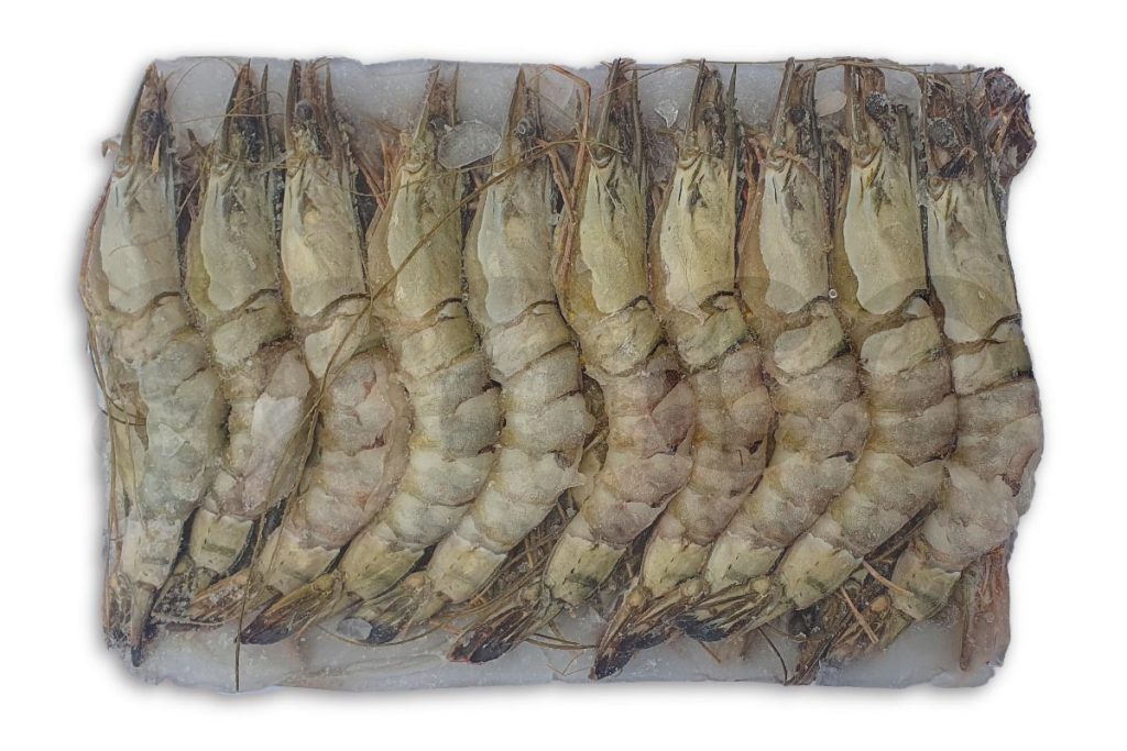 Gamba black tiger bodypeel 8-12 1kg DV