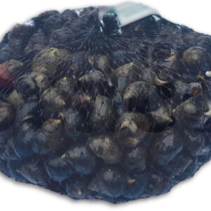Alikruik 1kg