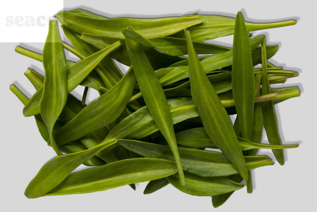 Lamsoor 1kg